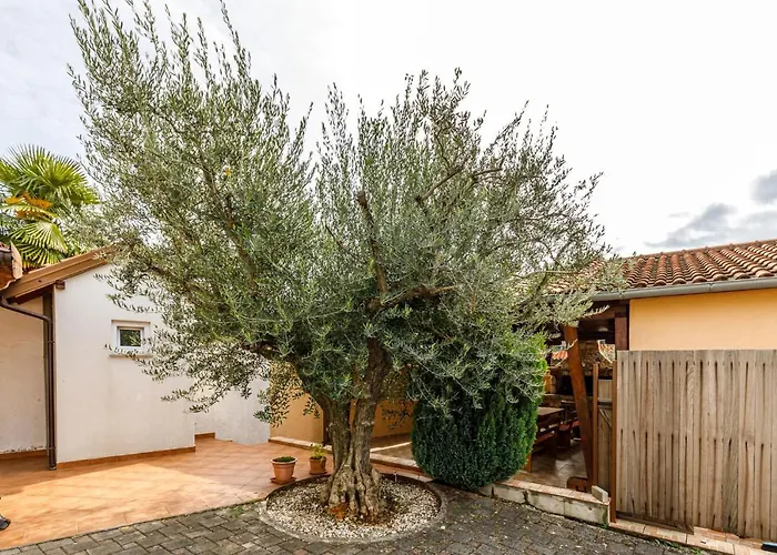 Sascha In Holiday home